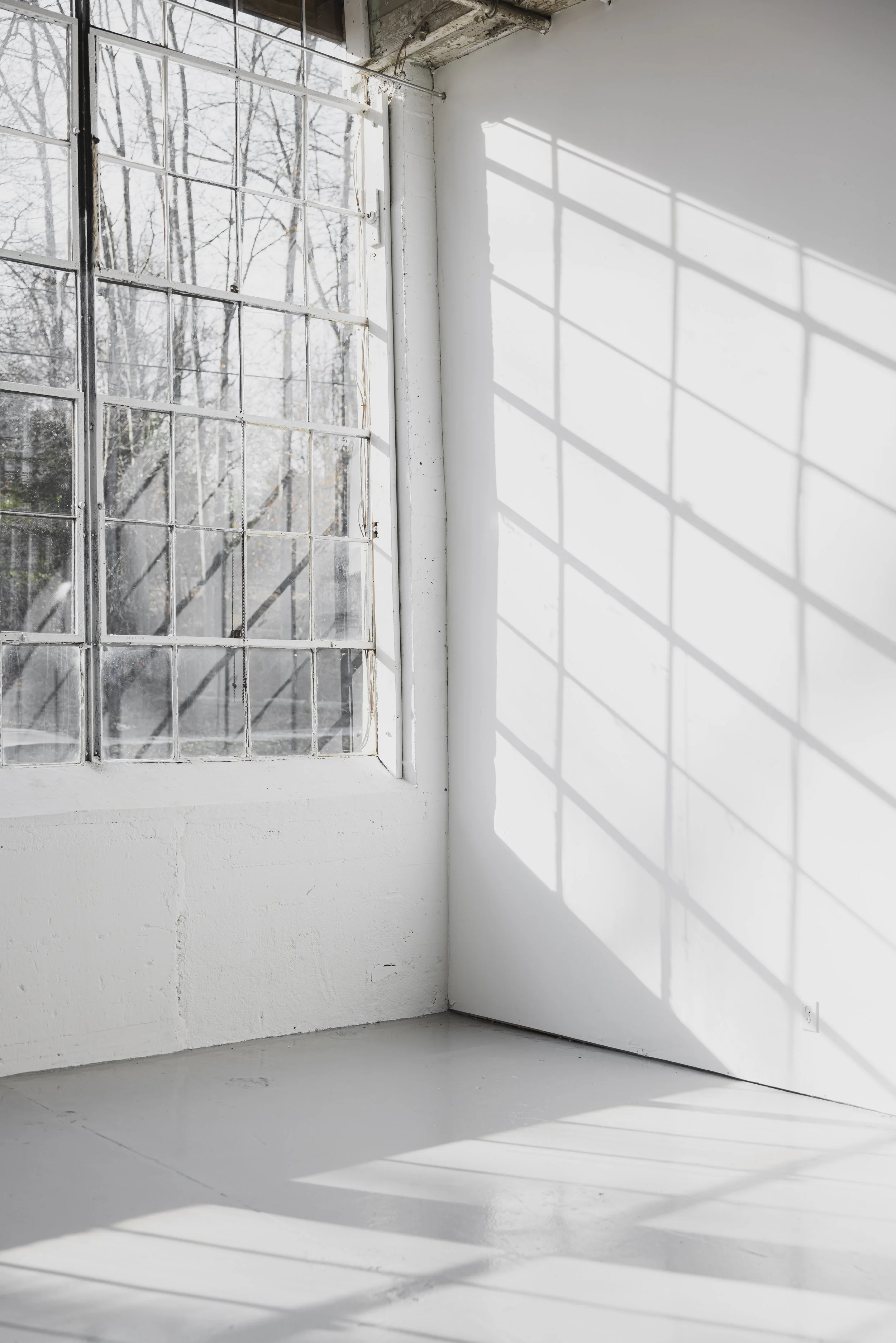 The Studio — WhiteWall Studios